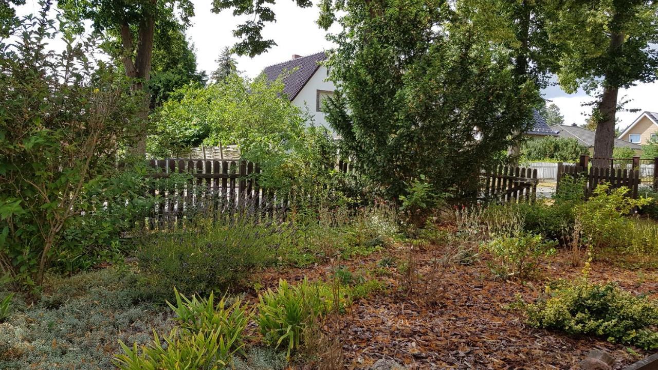 DahlewitzGruene Oase公寓 外观 照片